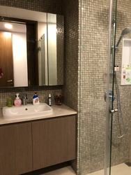 The Tembusu (D19), Condominium #160778752